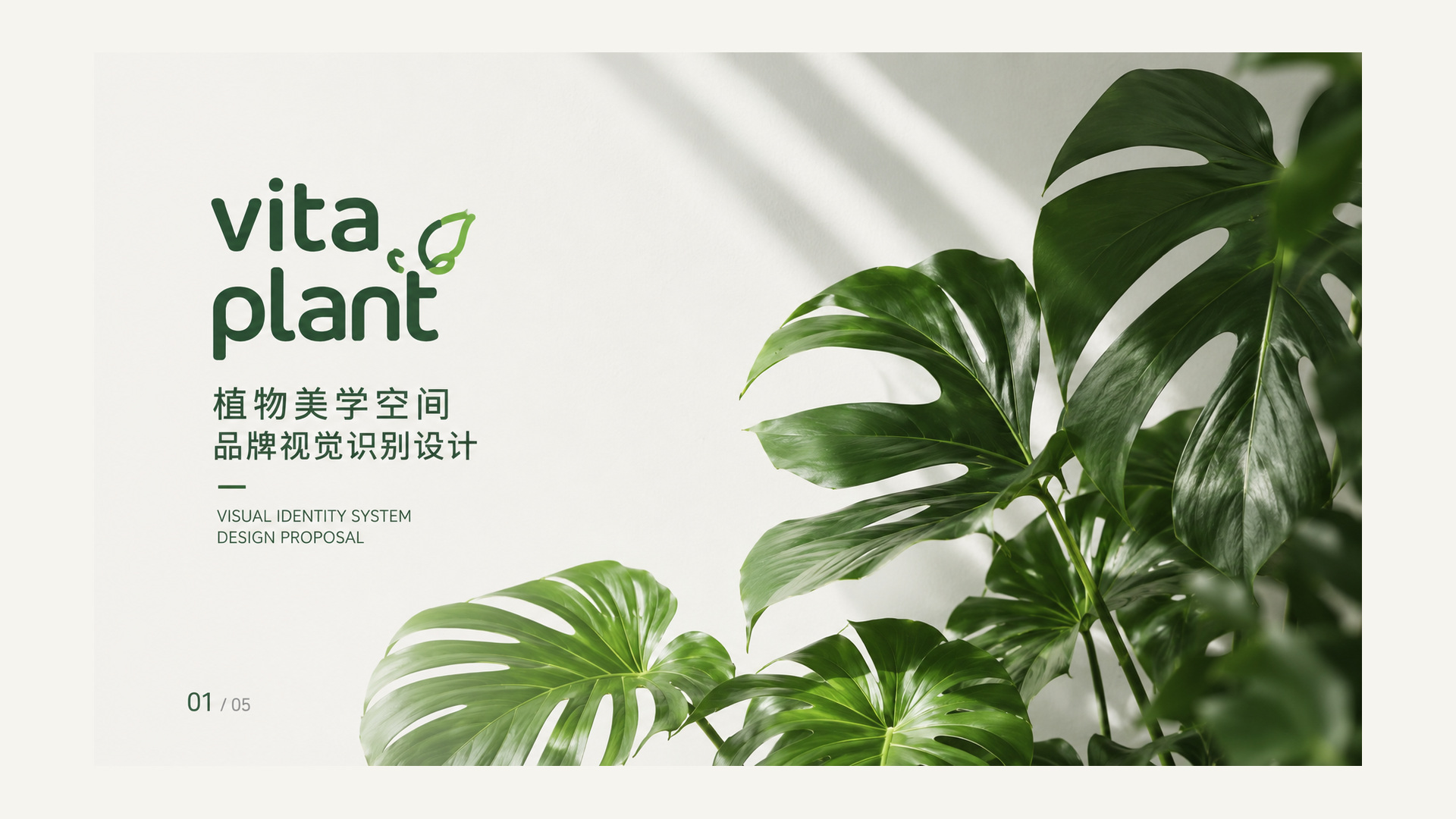 VITA PLANT 项目封面