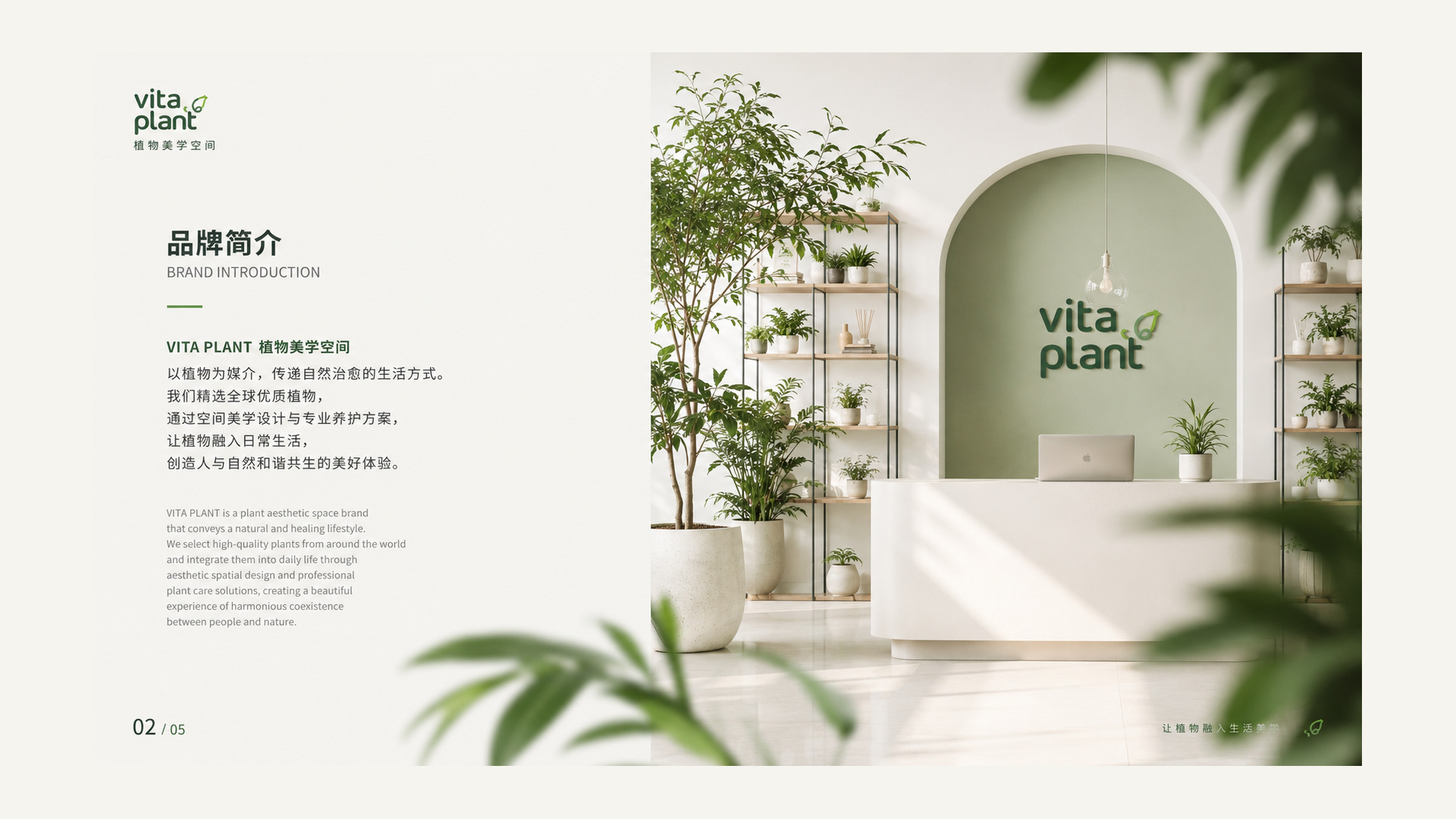 VITA PLANT 品牌简介