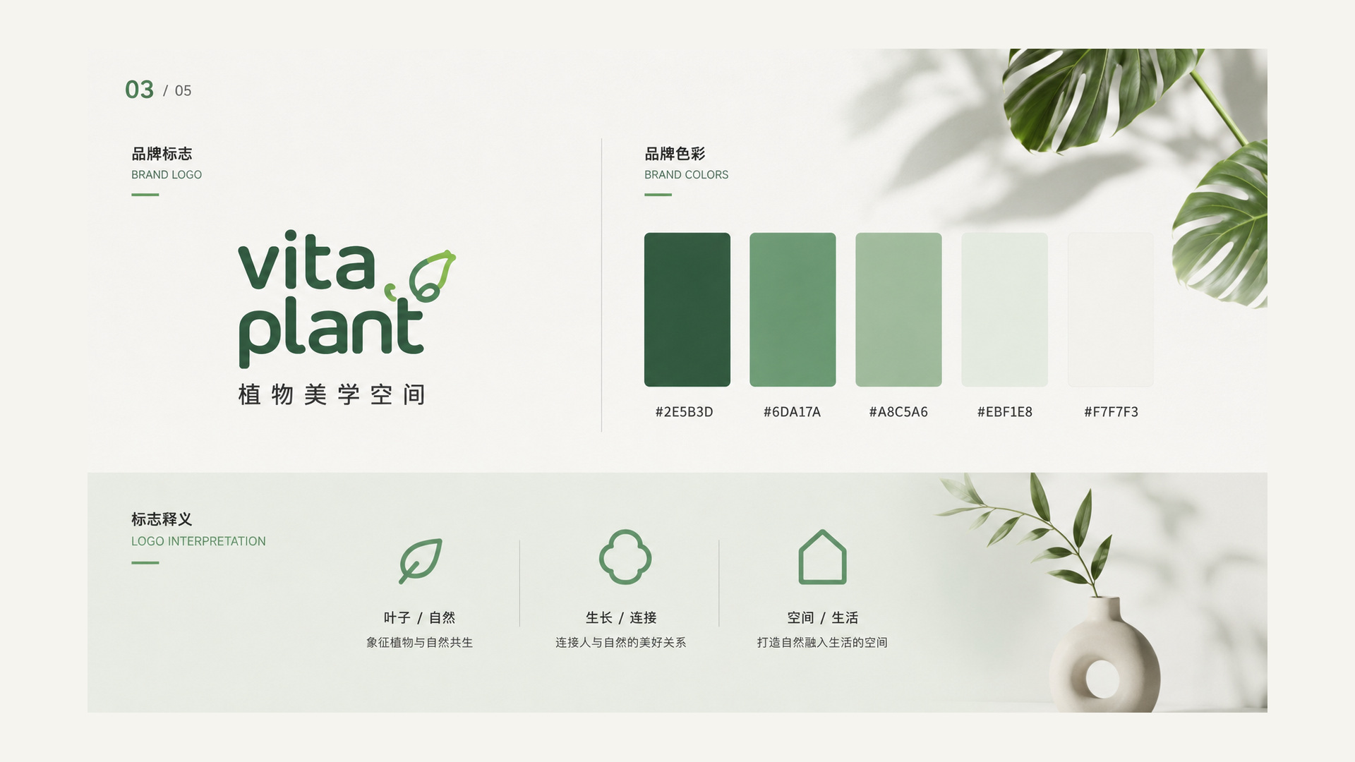 VITA PLANT 品牌标志与色彩