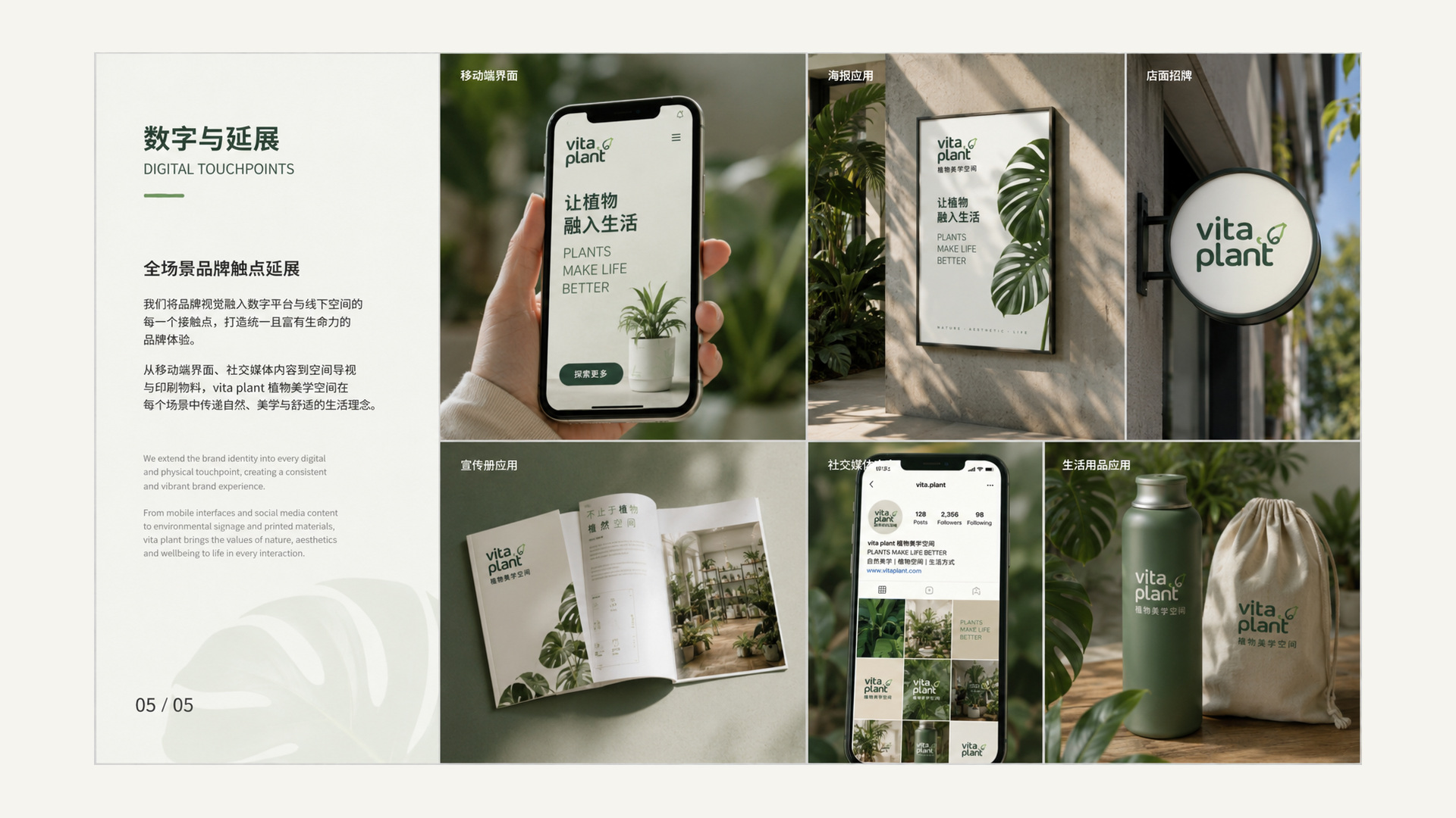 VITA PLANT 数字与延展